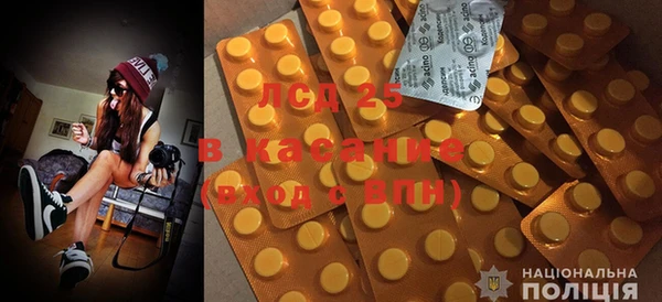 MESCALINE Аркадак